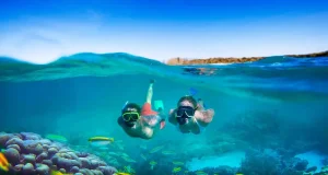 259041_6523c492688f3