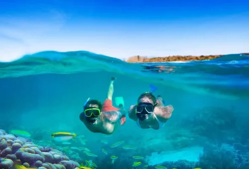 259041_6523c492688f3