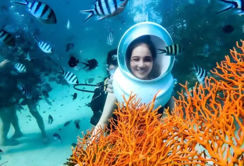 259041_6523c492688f5