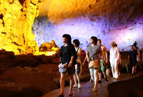 310590_6801dafc86392