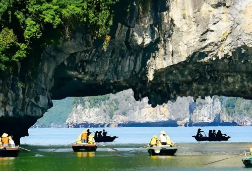 310590_6801dafc86395