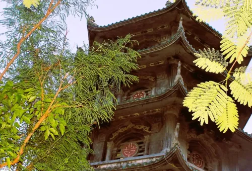 310590_6801dafc86390