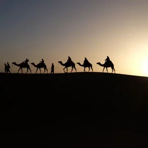 Camel Ride Sahara Desert Zagora