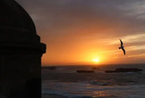 One-day-trip-to-essaouira