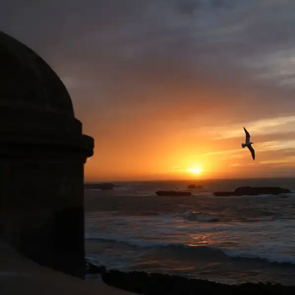 One Day Trip To Essaouira