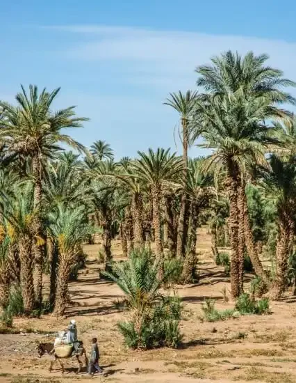 Morocco-sahara-desert-trips-to-zagora