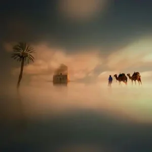 Camel Ride In The Palmeriae Marrakech