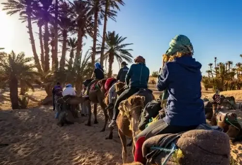 palmeraie-marrakech-camel-riding