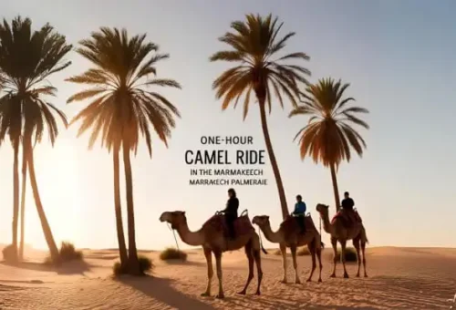 1-hour-camel-ride-in-the-Marrakech-Palmeraie