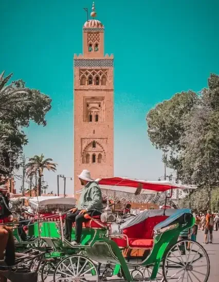 Marrakech-things-to-do-tours